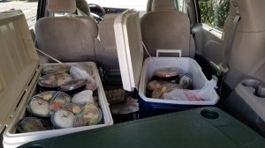 This photo provided by the Yolo County District Attorney’s Office shows how meals from Anna's Kitchen were stored.