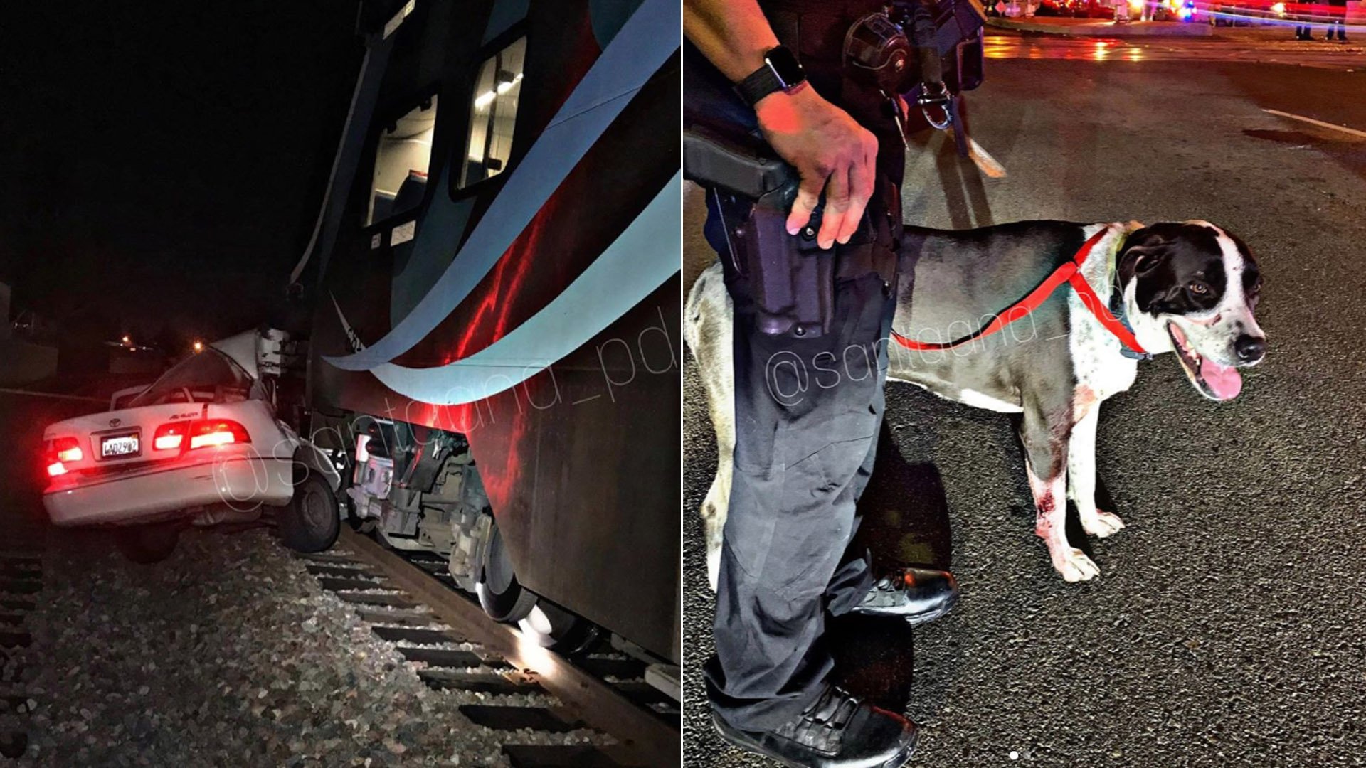 Santa Ana police released these photos of a sedan and a dog involved in a deadly train crash on Jan. 6, 2020.