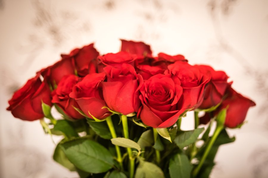 A classic bunch of red roses is seen in this file photo. (Credit: Getty Images)