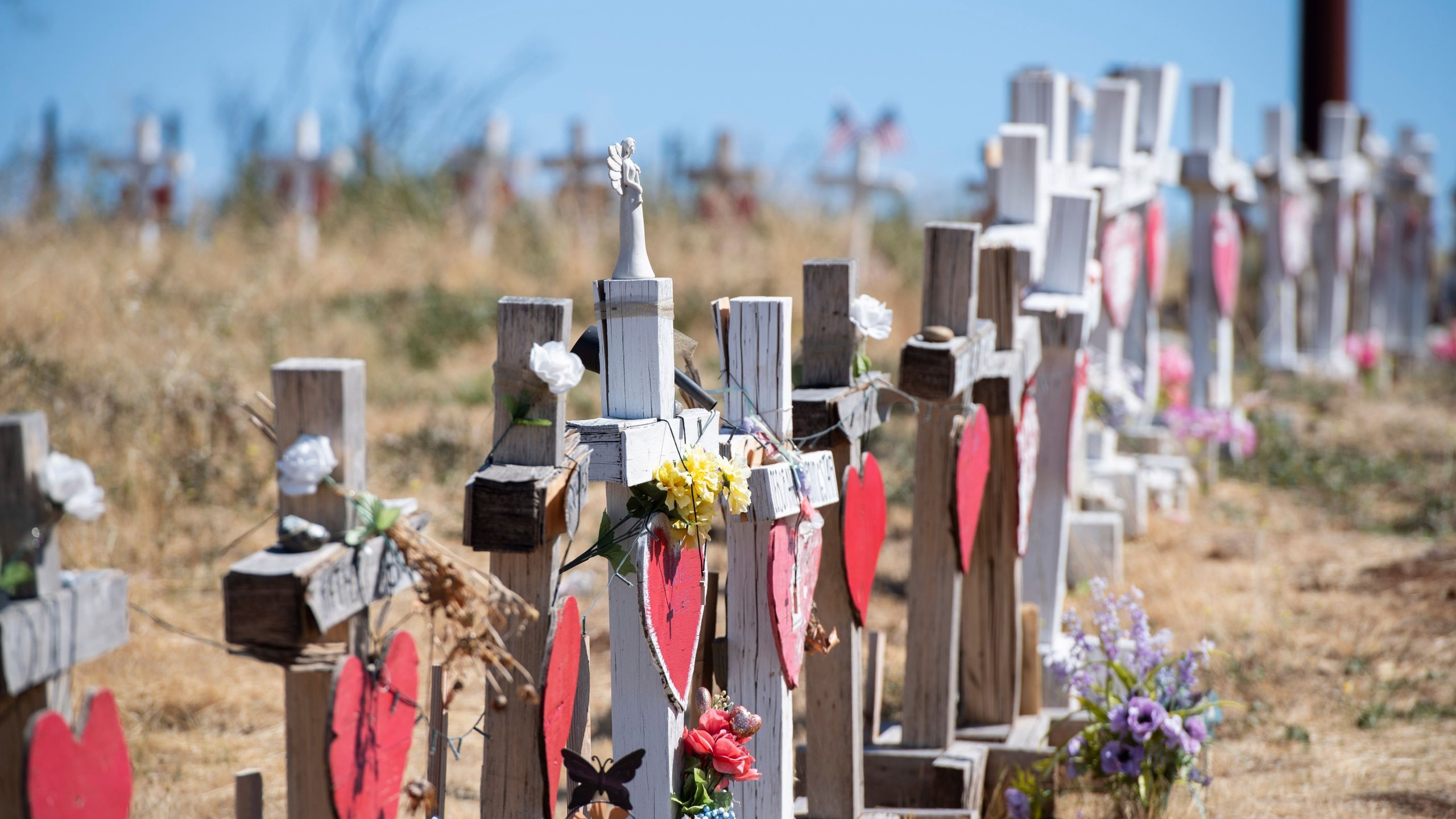 Crosses line a road in Paradise on Oct. 2, 2019, in honor of those who died as a result of the Camp Fire. (Credit: Robyn Beck / AFP / Getty Images)