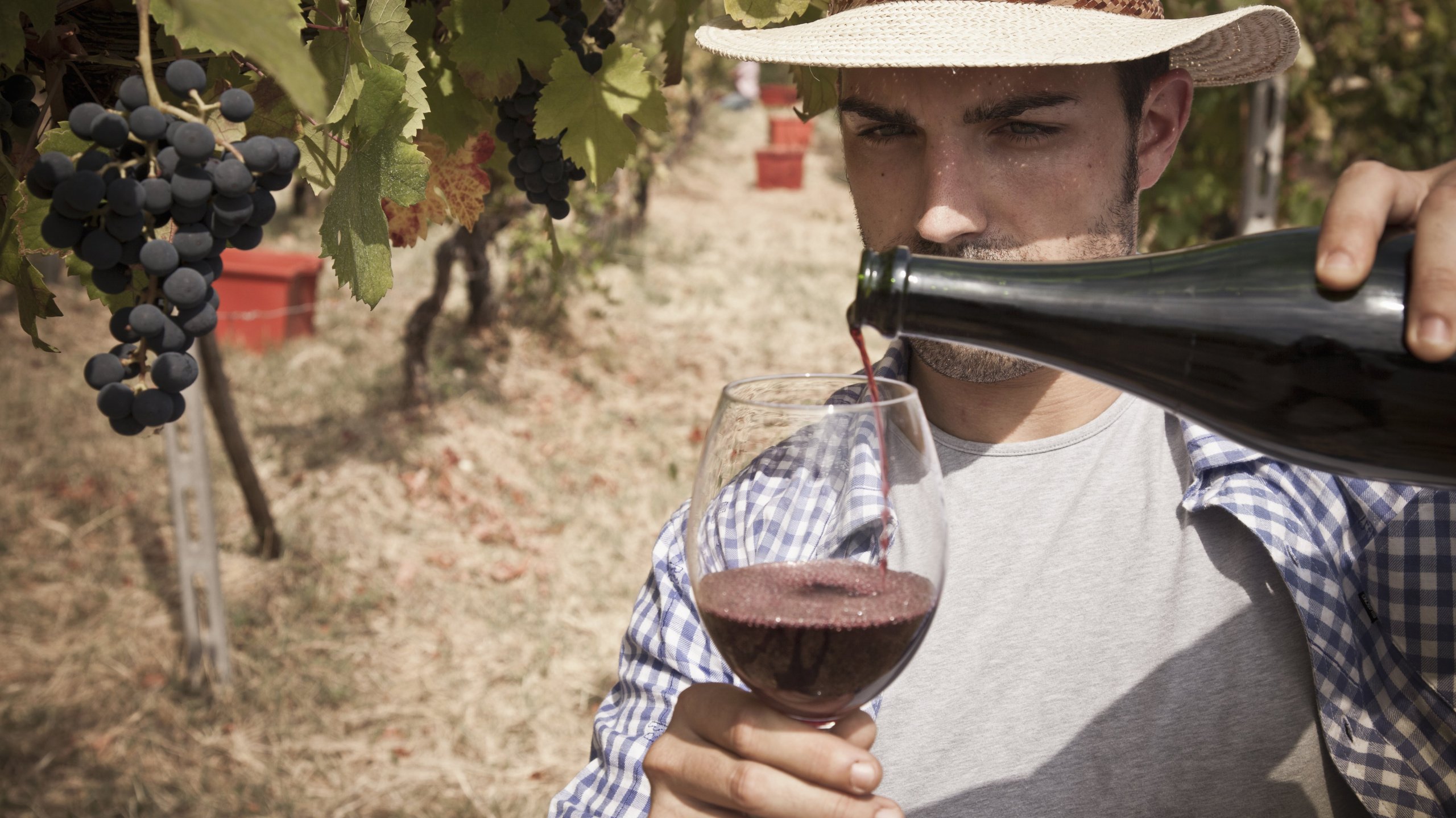 A man pours a glass of wine at a vineyard in Tuscany. (Credit: Buena Vista Images/Getty Images)