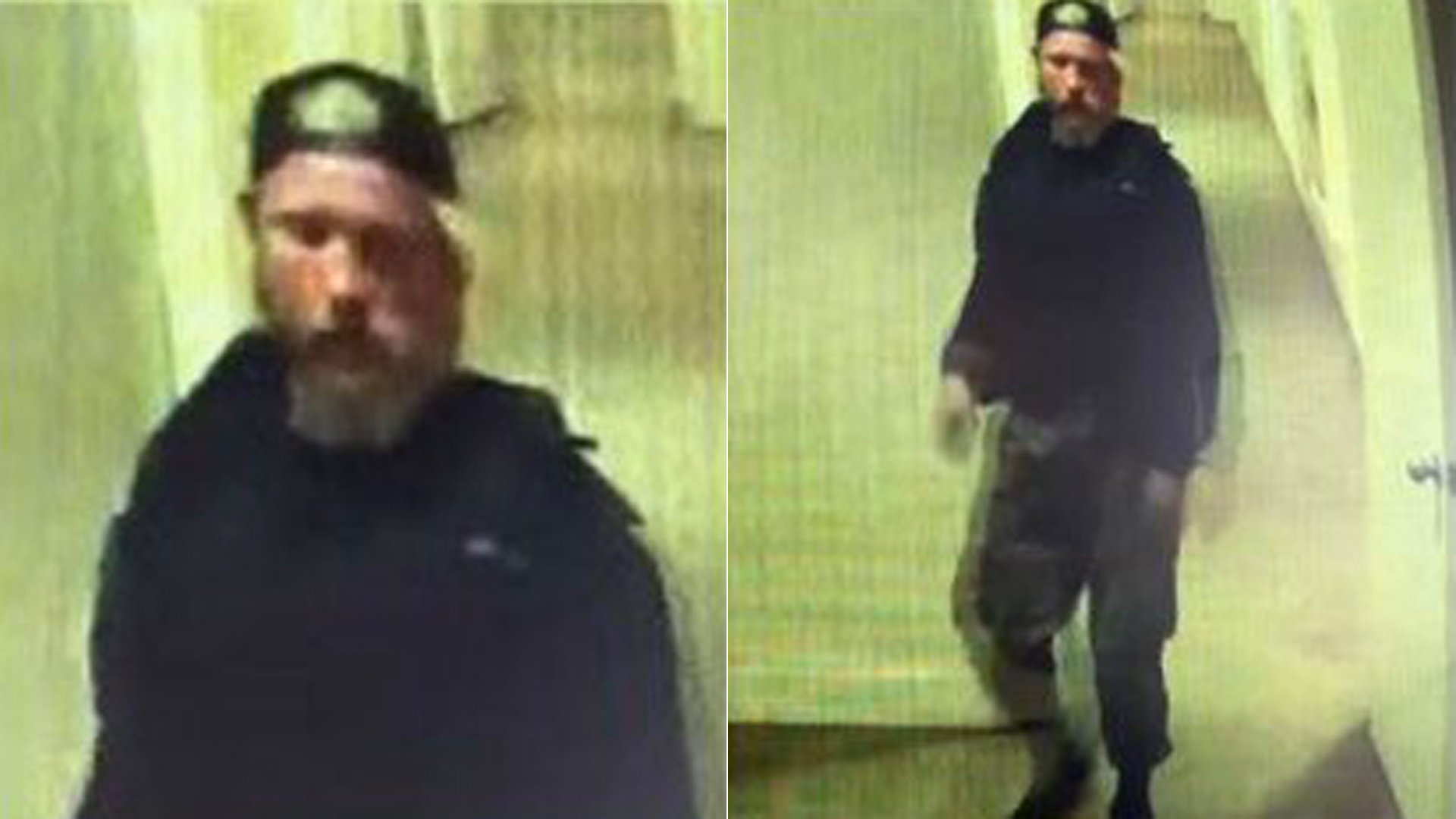 A man who allegedly sexually assaulted a person in a Malibu apartment is shown in photos released by the Los Angeles County Sheriff's Department on Feb. 17, 2020.