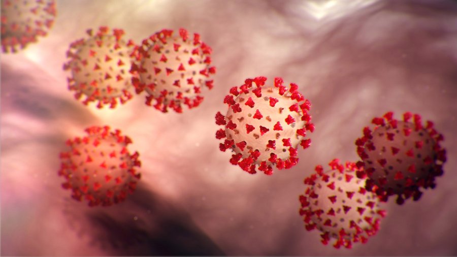 A rendering of the 2019-nCoV strain of coronavirus is seen in an image released by the U.S. Centers for Disease Control and Prevention.