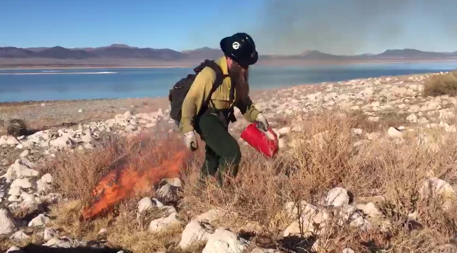 Fire crews burning non-native Bassia hyssopifolia to restore and protect nesting areas for birds on a tiny island at Mono Lake on Feb. 14, 2020. (Credit: Inyo National Forest)