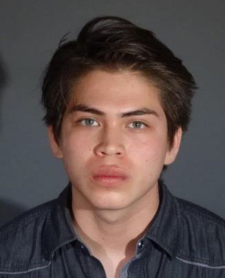 Juan Pablo Diaz, 18, of San Fernando, pictured in a photo released by the San Fernando Police Department following his arrest on Feb. 24, 2020.