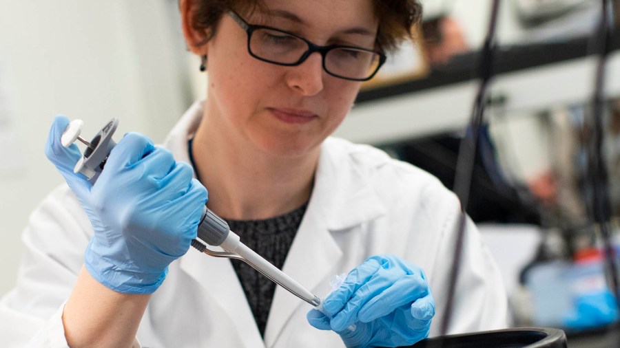 A researcher works in a lab that is developing a test for the coronavirus in Nutley, New Jersey on Feb. 28, 2020. (Kena Betancur / Getty Images)