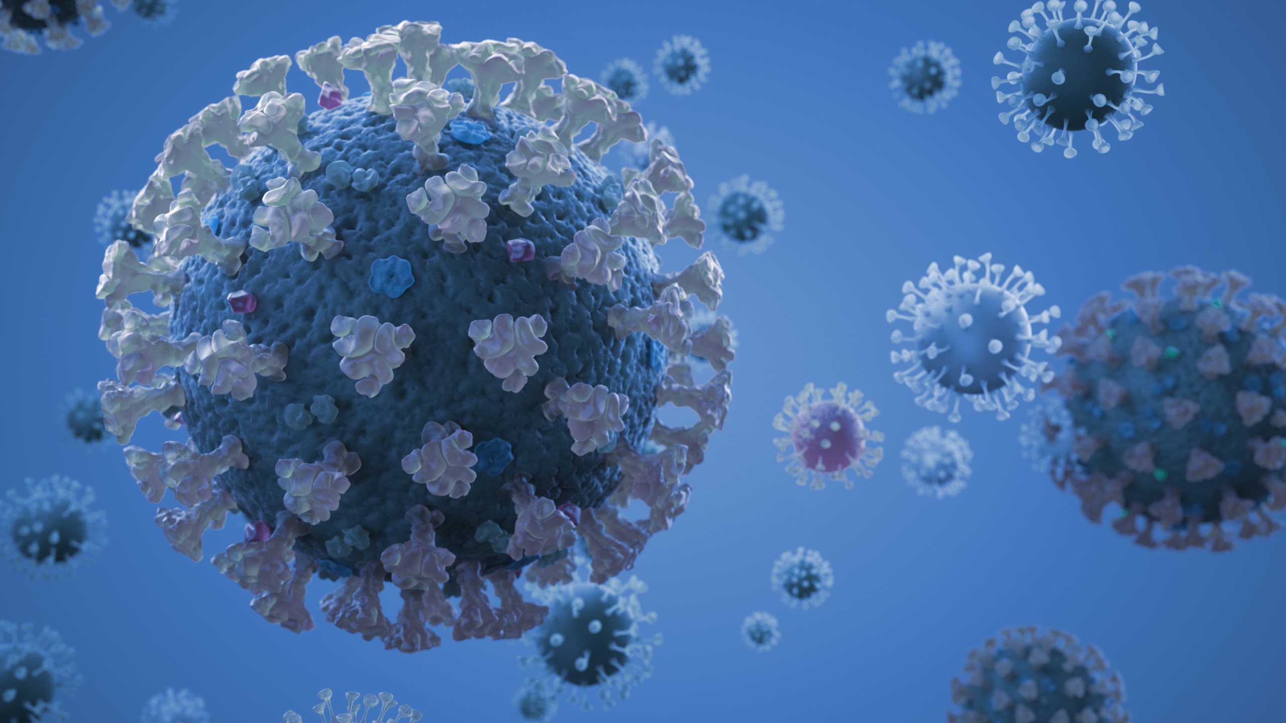 A digital rendering of the coronavirus. (Getty Images)