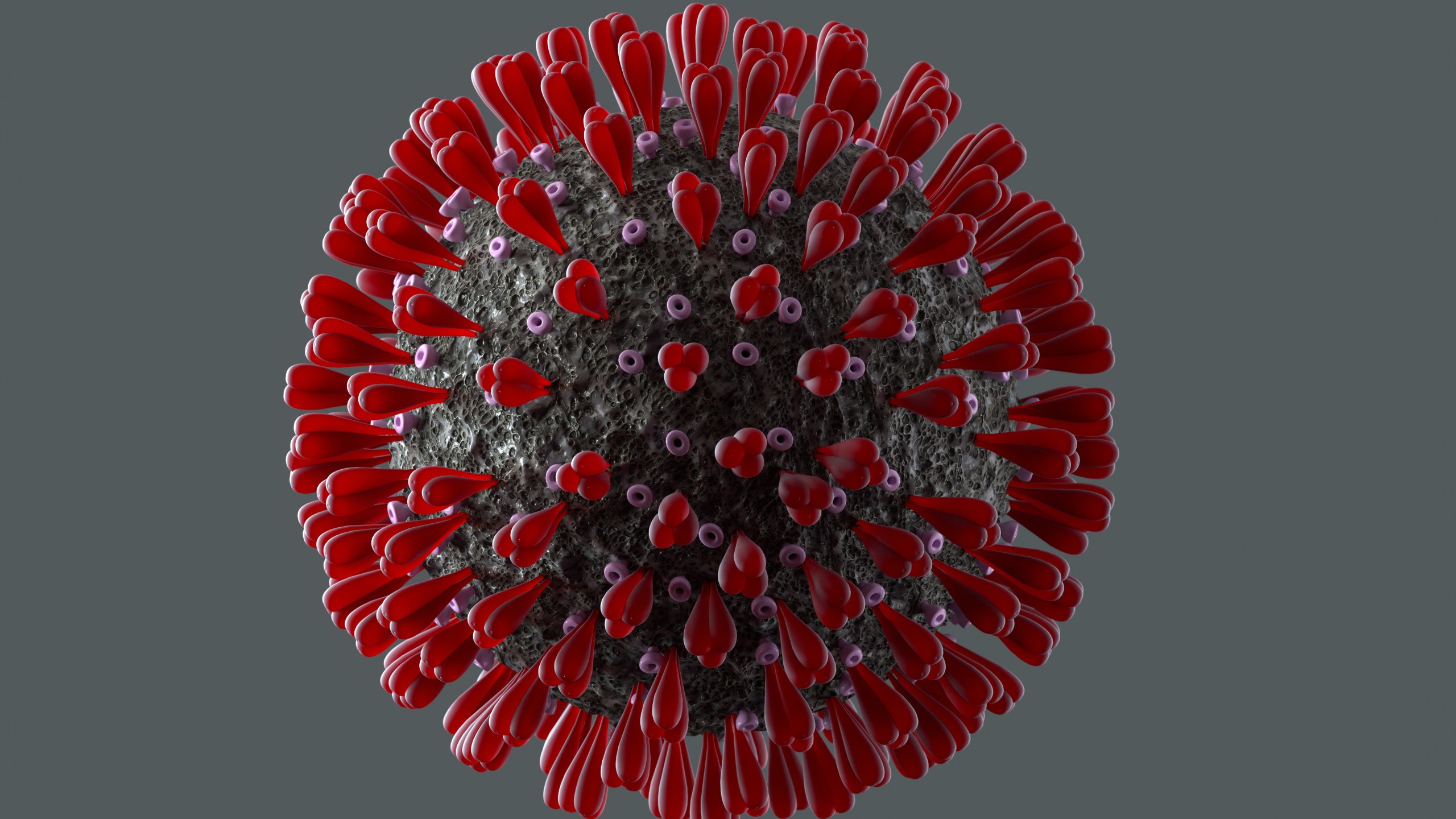 Digital generated image of macro view of the coronavirus. (Getty Images)