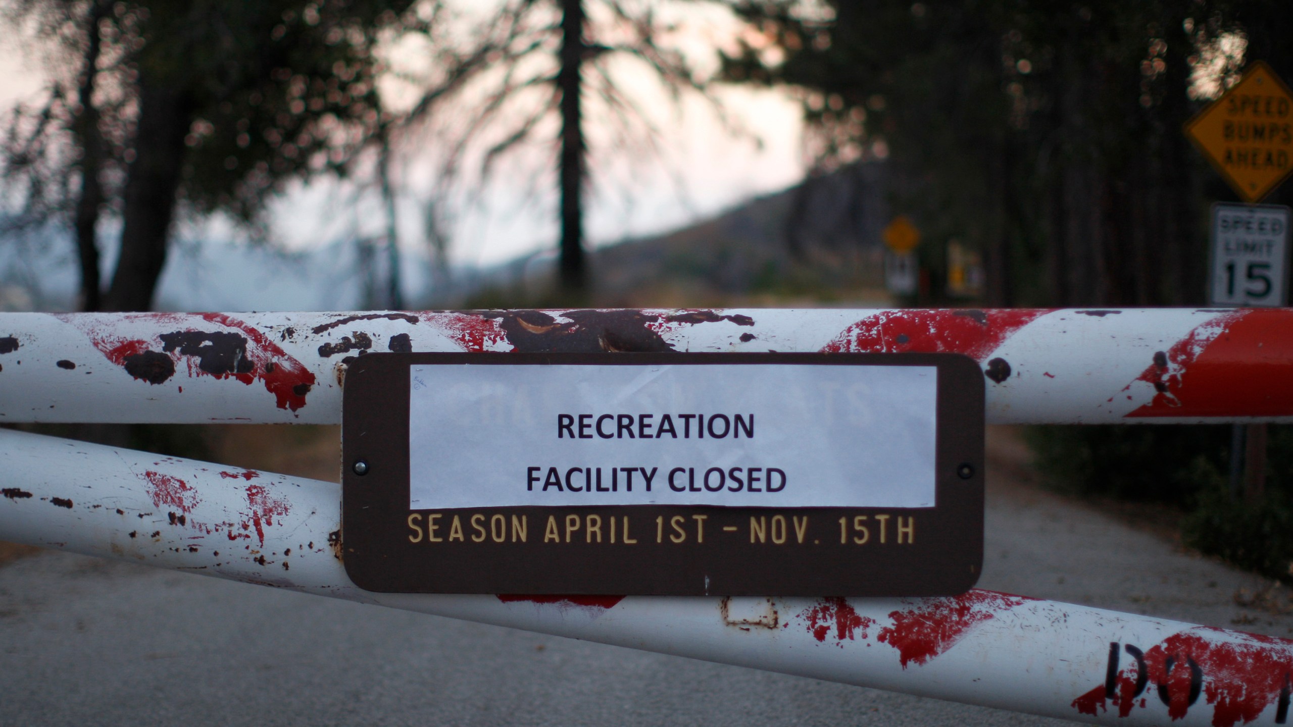 Access to the Charlton Flat campground is blocked by a locked gate in the Angeles National Forest on Oct. 2, 2013, in the San Gabriel Mountains, northeast of Los Angeles. (David McNew/Getty Images)