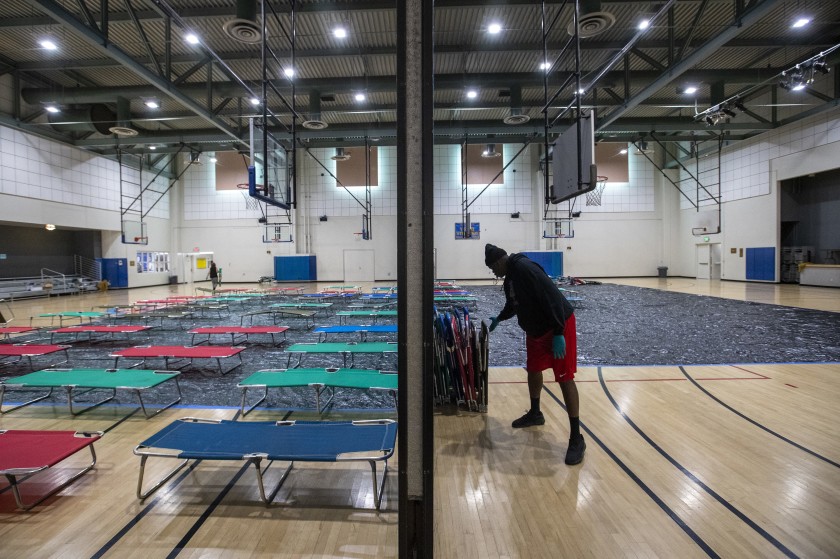 Cots are set up 6 feet apart at Westwood Recreation Center in March 2020, to shelter the homeless. (Brian van der Brug / Los Angeles Times)