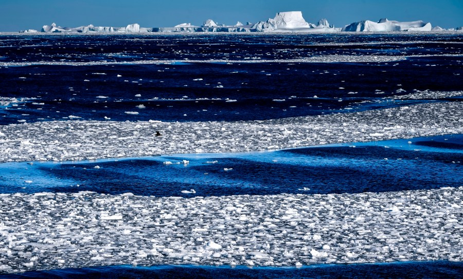 An ice shelf is seen from the deck of the Russian oceanographic research vessel Admiral Vladimirsky during an expedition to the shores of Antarctica. (Alexey Kudenko / Sputnik via AP