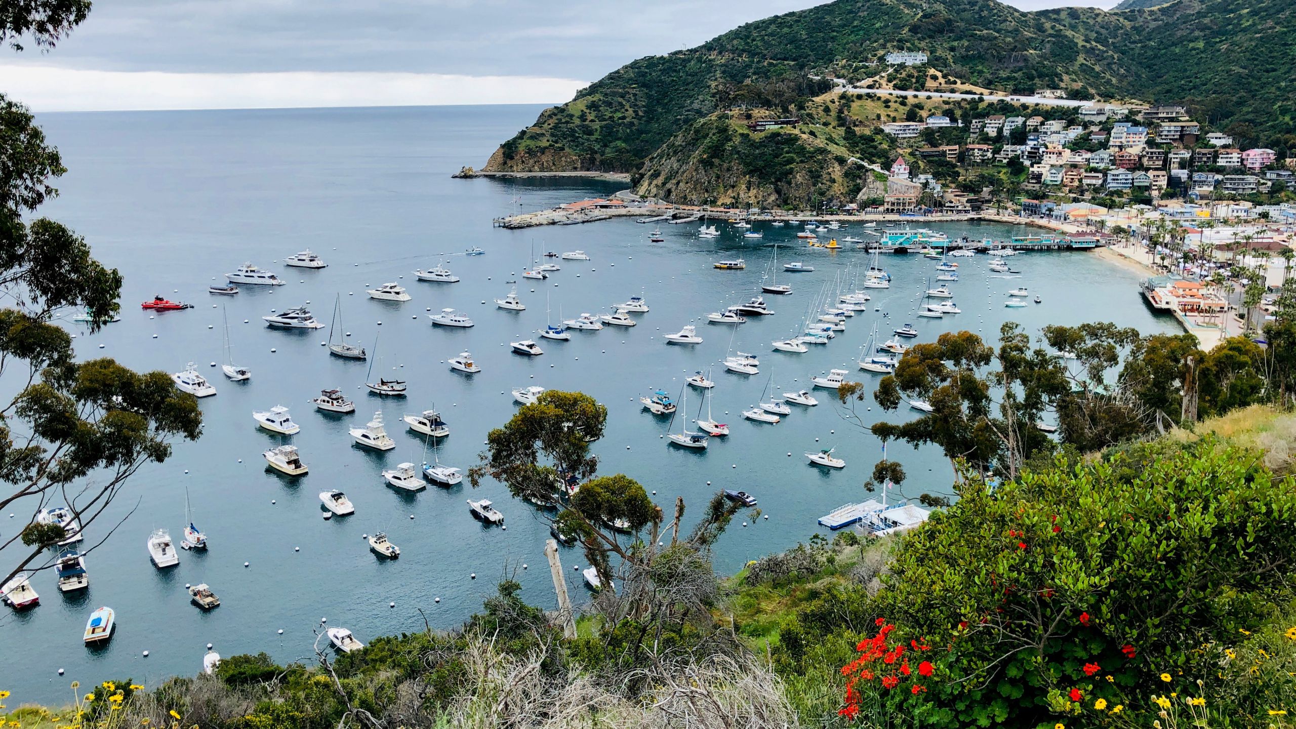 View from Avalon harbor from the Catalina Island ridge top, about 1 hour away from the Los Angeles coast, on April 20, 2019. (DANIEL SLIM/AFP via Getty Images)