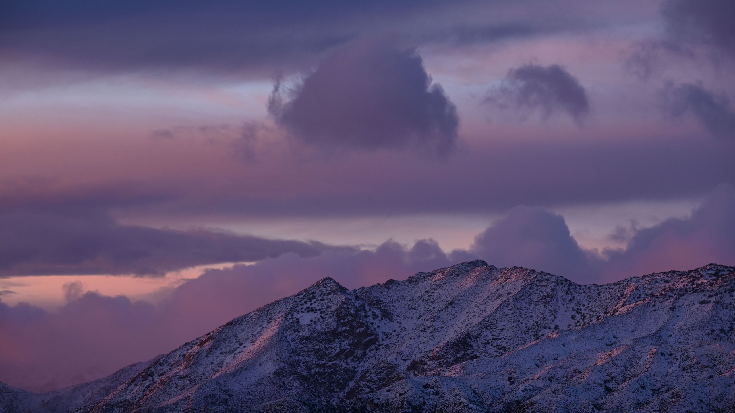 Snow blankets the Angeles National Forest north of Los Angeles on Dec. 26, 2019, after a cold winter storm brought heavy rain, snow and strong winds to much of southern California. (Robyn Beck / AFP / Getty mages)