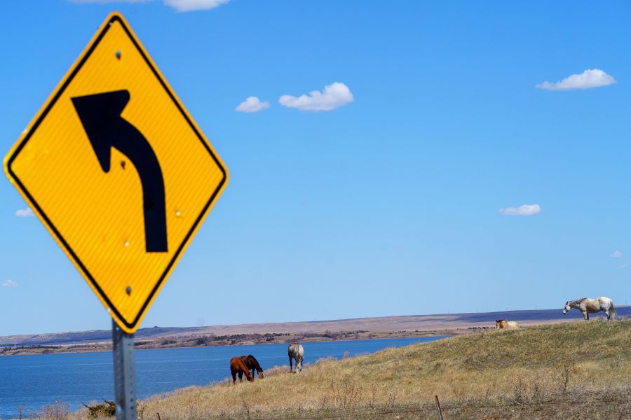 Horses graze next to the Missouri River near the Lower Brule Indian Reservation on April 22, 2020 in Lower Brule, South Dakota. The threat posed by the novel coronavirus to particularly vulnerable populations has cast a shadow over the daily reality, already filled with difficulties, of Sioux tribe members. (KEREM YUCEL/AFP via Getty Images)