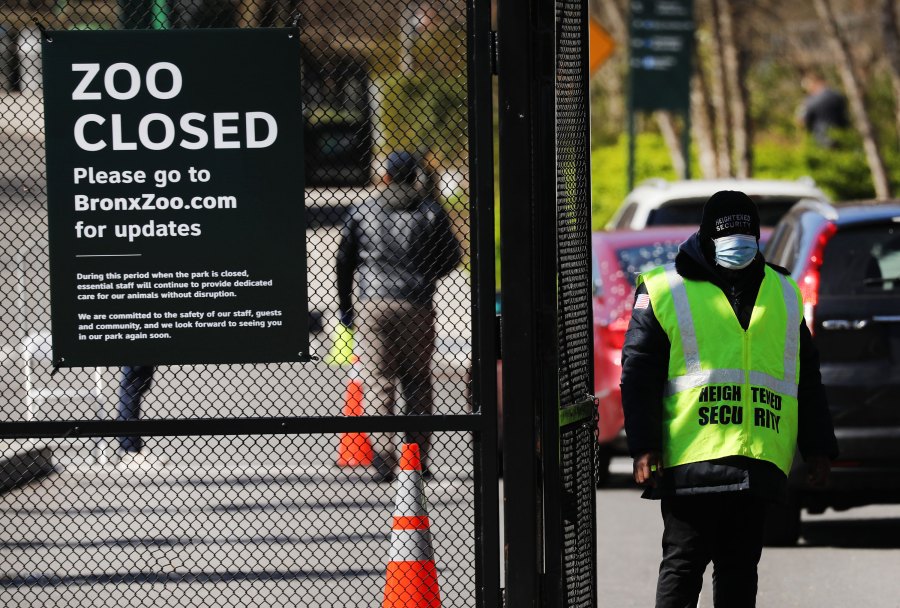 A guard stands at the entrance to the Bronx Zoo in New York City. Seven more big cats have coronavirus at the zoo, in addition to a tiger that tested positive earlier this month, the Wildlife Conservation Society announced. (Spencer Platt/Getty Images)