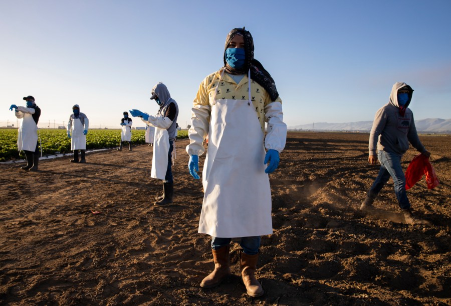 Farm laborers from Fresh Harvest arrive early in the morning on April 28, 2020 in Greenfield, California. (Brent Stirton/Getty Images)