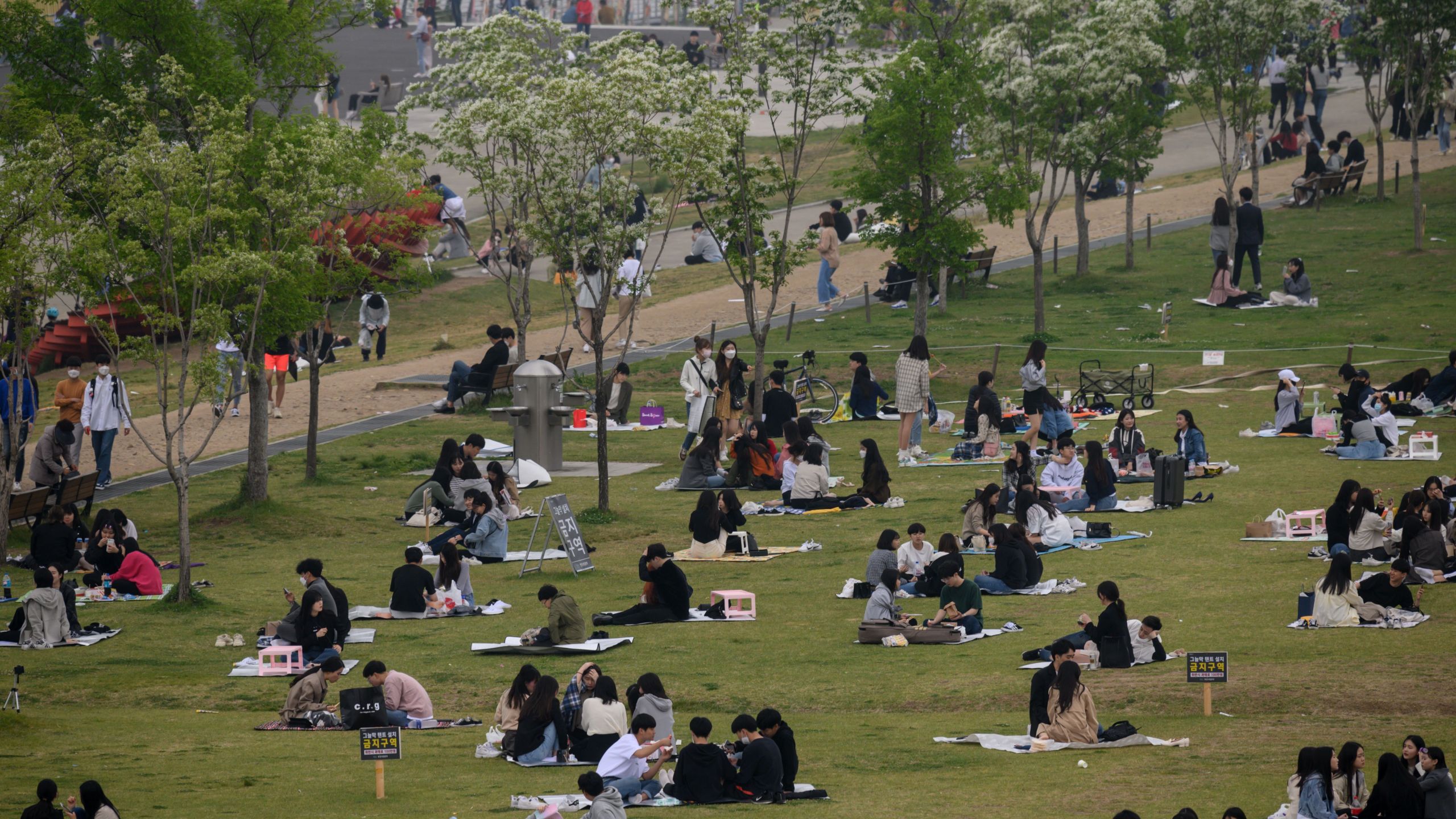 In a photo taken on May 10, 2020, people sit in a park in Seoul. (ED JONES/AFP via Getty Images)