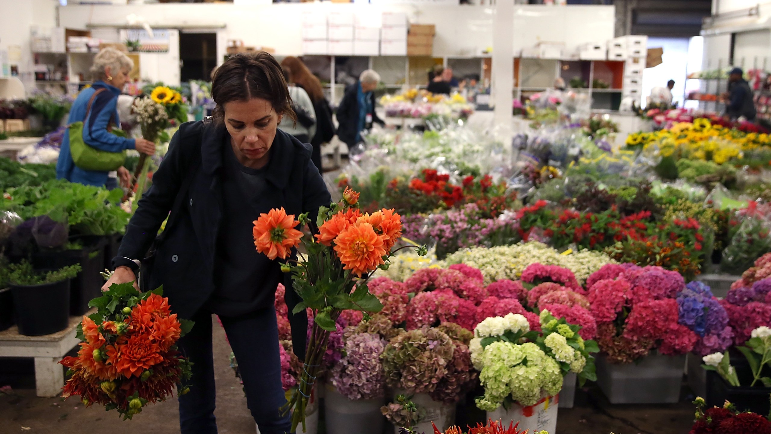 A customer shops for flowers at the San Francisco Flower Mart on August 29, 2014 in San Francisco. (Justin Sullivan/Getty Images)