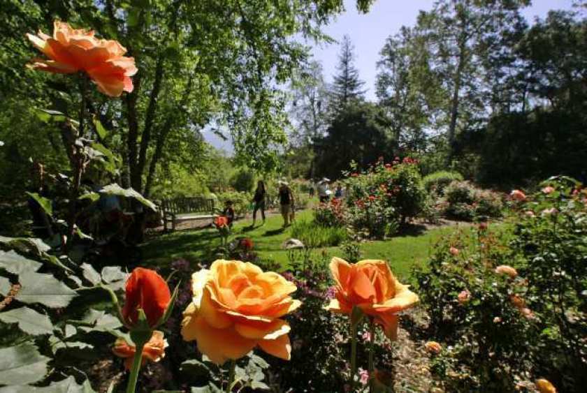 Descanso Gardens is shown in an undated file photo. (Los Angeles Times)