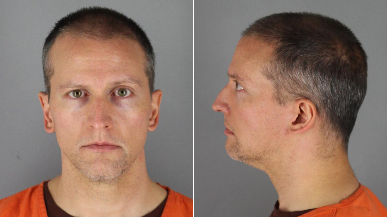 Derek Chauvin appears in a mugshot in 2020. (Hennepin County Sheriff's Office)