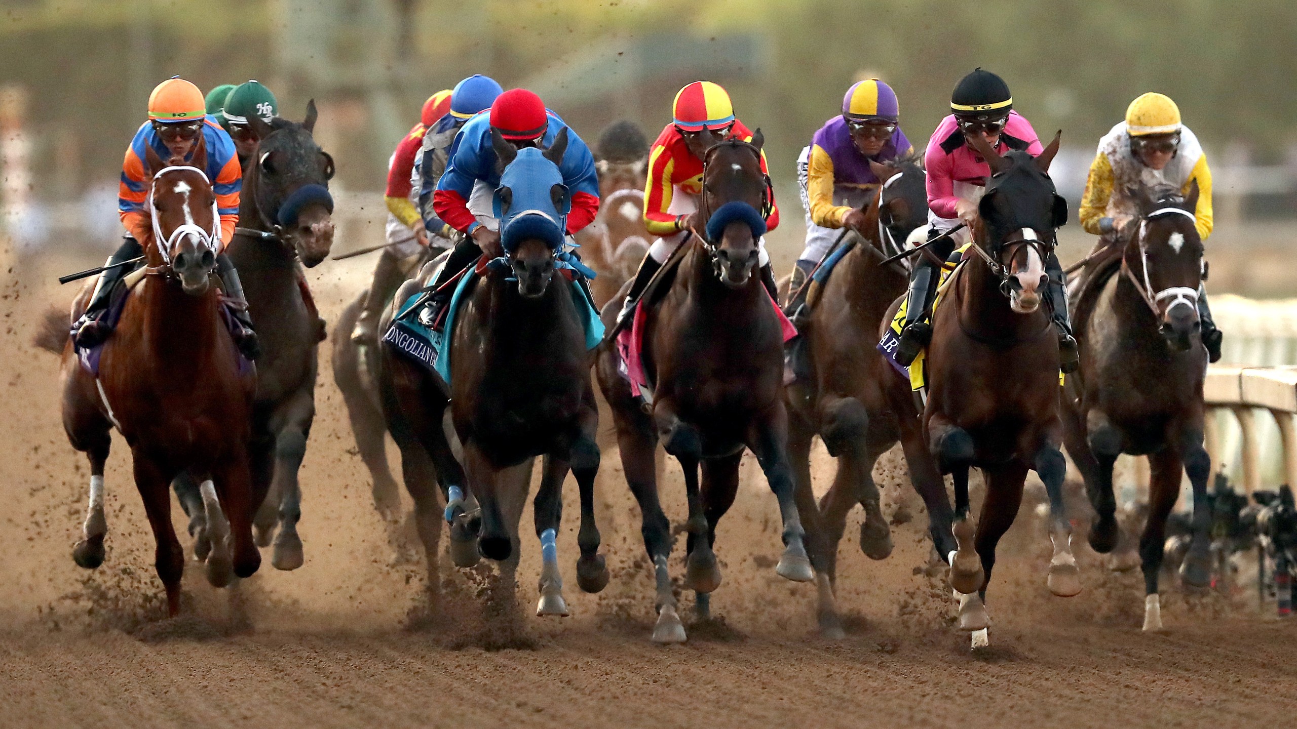 The Breeders' Cup Classic is held at Santa Anita Park in Arcadia on Nov. 2, 2019. (Sean M. Haffey / Getty Images)