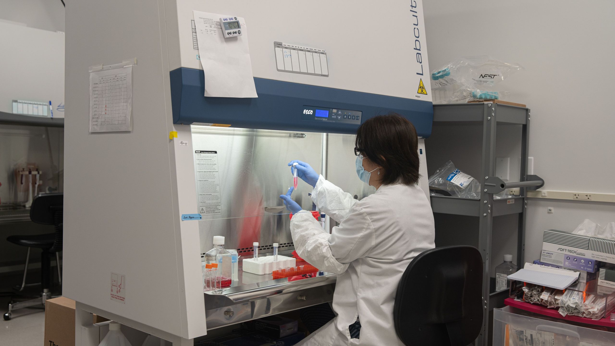 A worker is seen at a lab focused on COVID-19 testing in San Diego on May 22, 2020. (ARIANA DREHSLER/AFP via Getty Images)