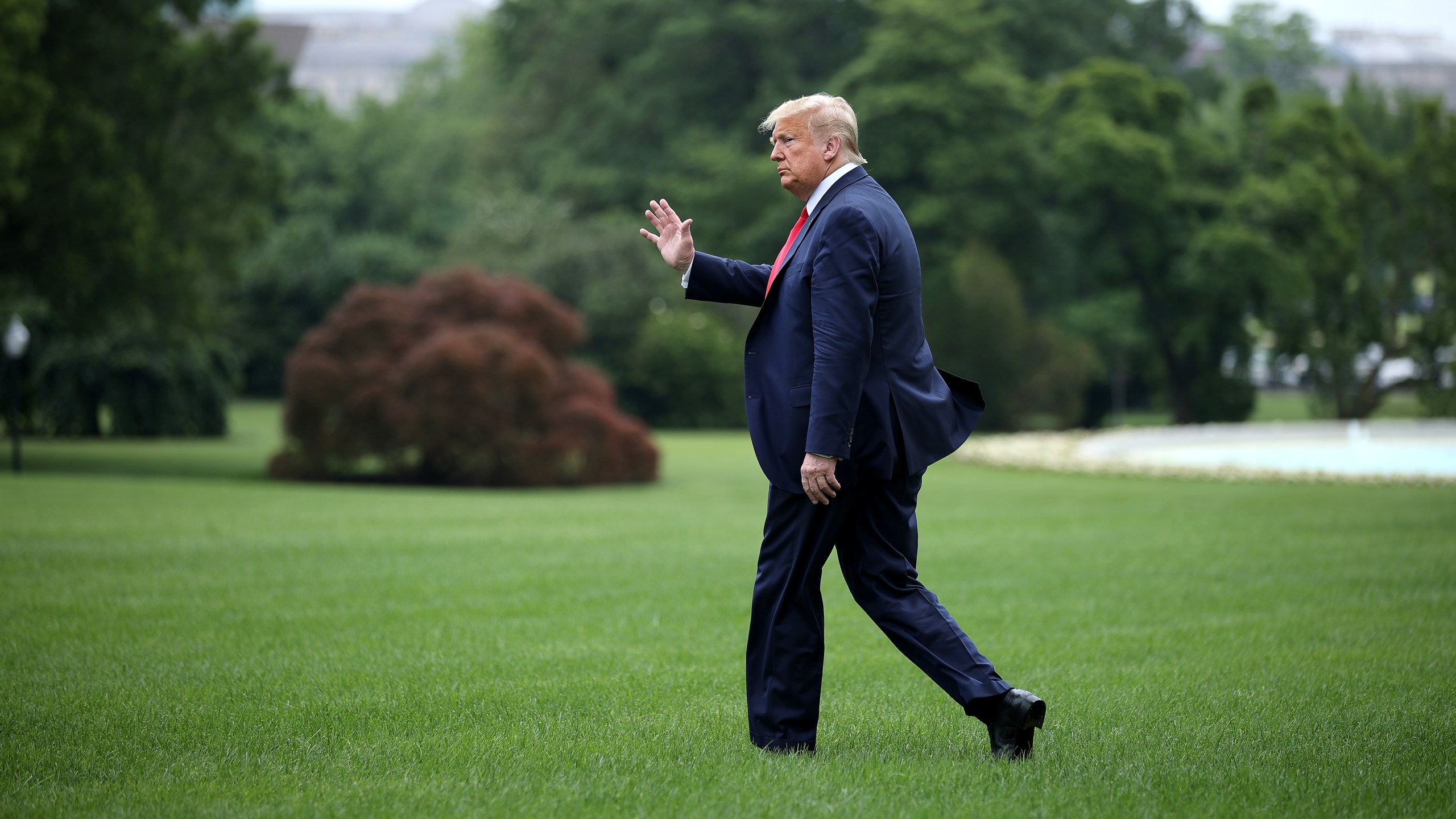 Donald Trump walks across the South Lawn before boarding Marine One and departing the White House on June 5, 2020. (Chip Somodevilla/Getty Images)