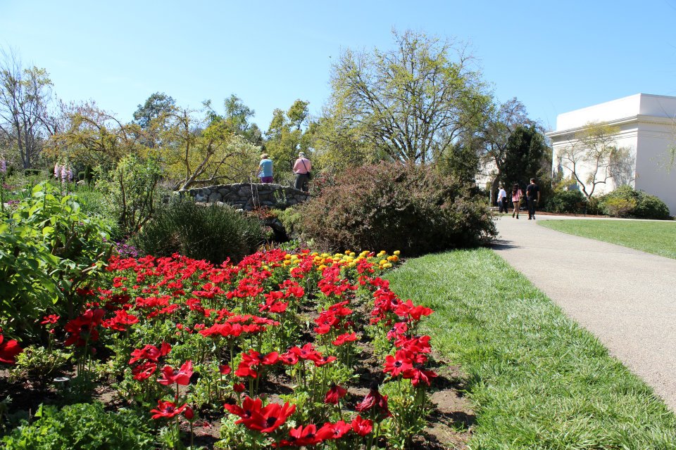 A garden at the Huntington is seen in a file photo from 2012. (KTLA)