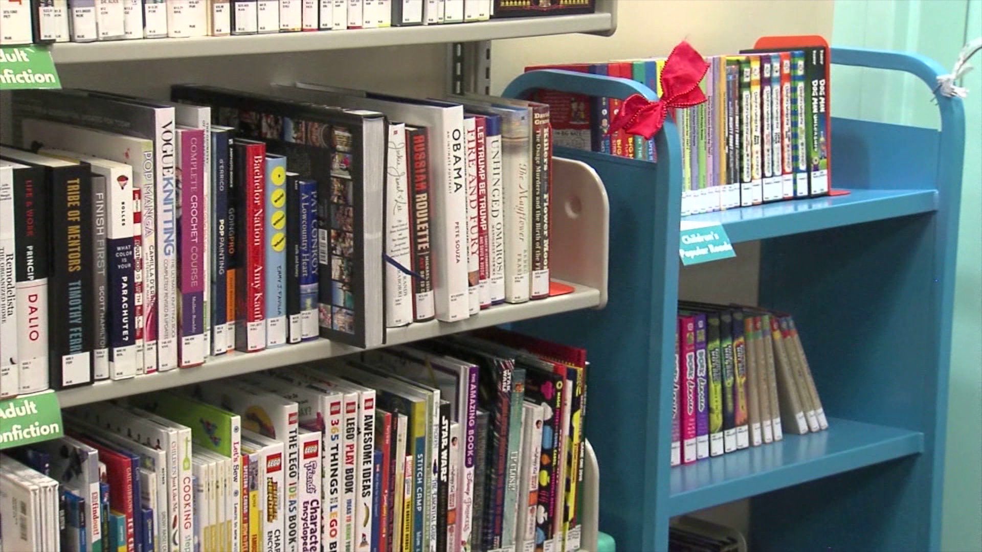 Library books are seen in an undated image. (KTLA)