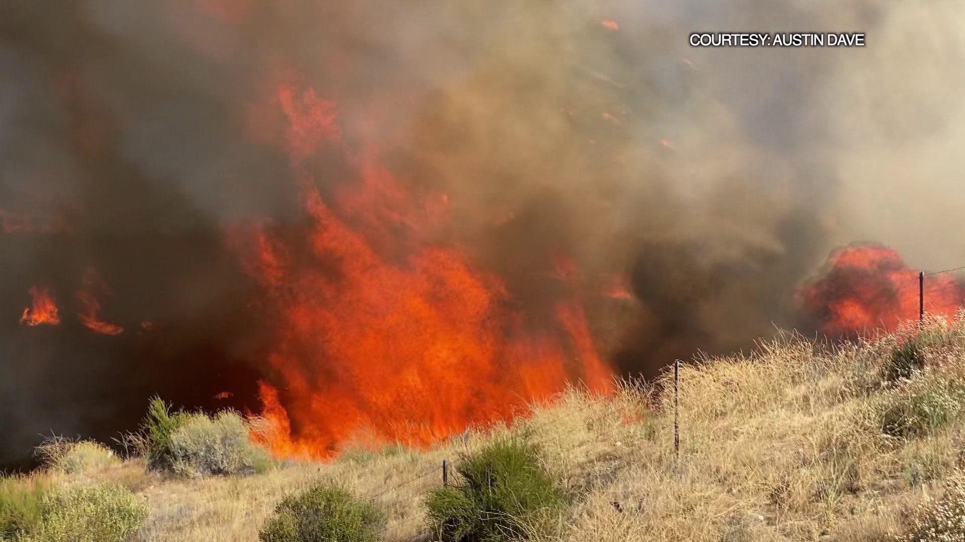 The Soledad Fire burns through more than 1,000 acres in the Santa Clarita area on July 5, 2020. (Austin Dave)