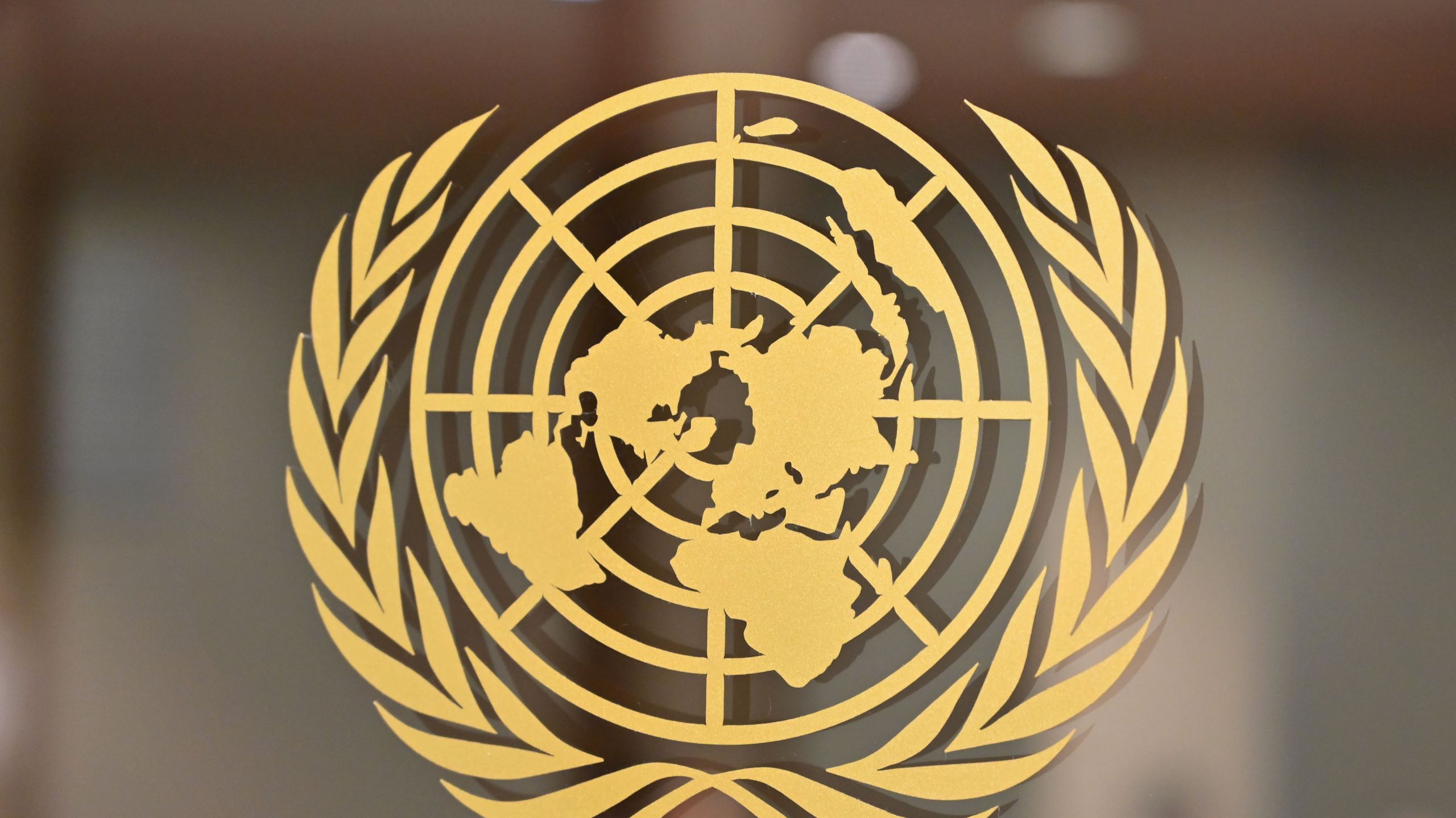 The United Nations logo is seen at the United Nations Headquarters in New York on September 24, 2019. (ANGELA WEISS/AFP via Getty Images)