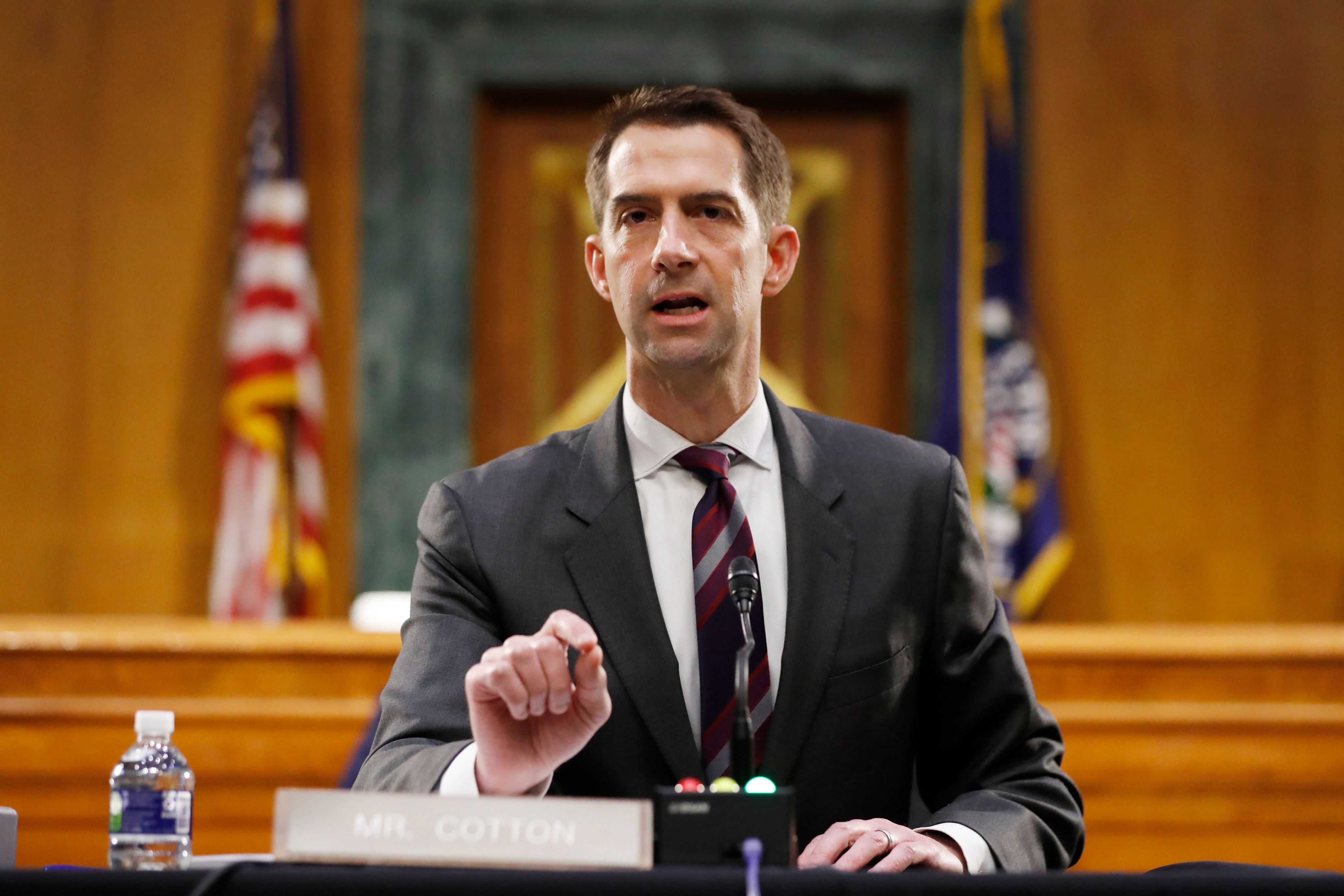 Sen. Tom Cotton speaks during a Senate Intelligence Committee nomination hearing for Rep. John Ratcliffe on Capitol Hill on May 5, 2020. (ANDREW HARNIK / AFP / Getty Images)