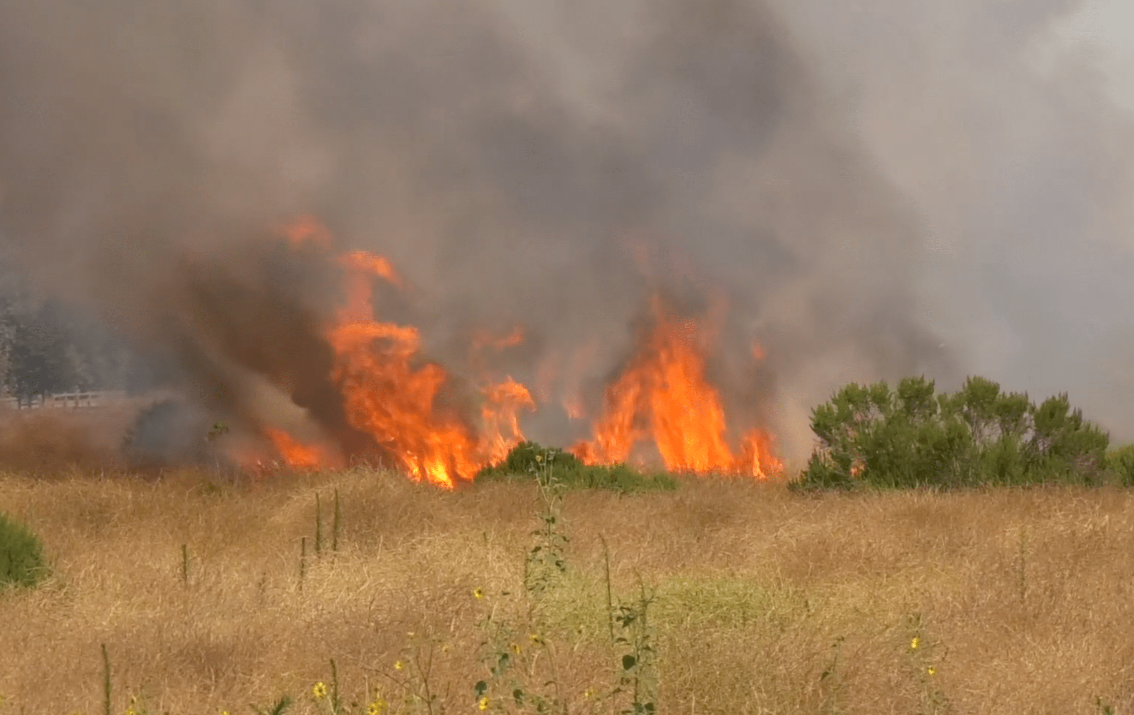 A brush fire burns in the Sepulveda Basin on July 18, 2020. (KTLA)