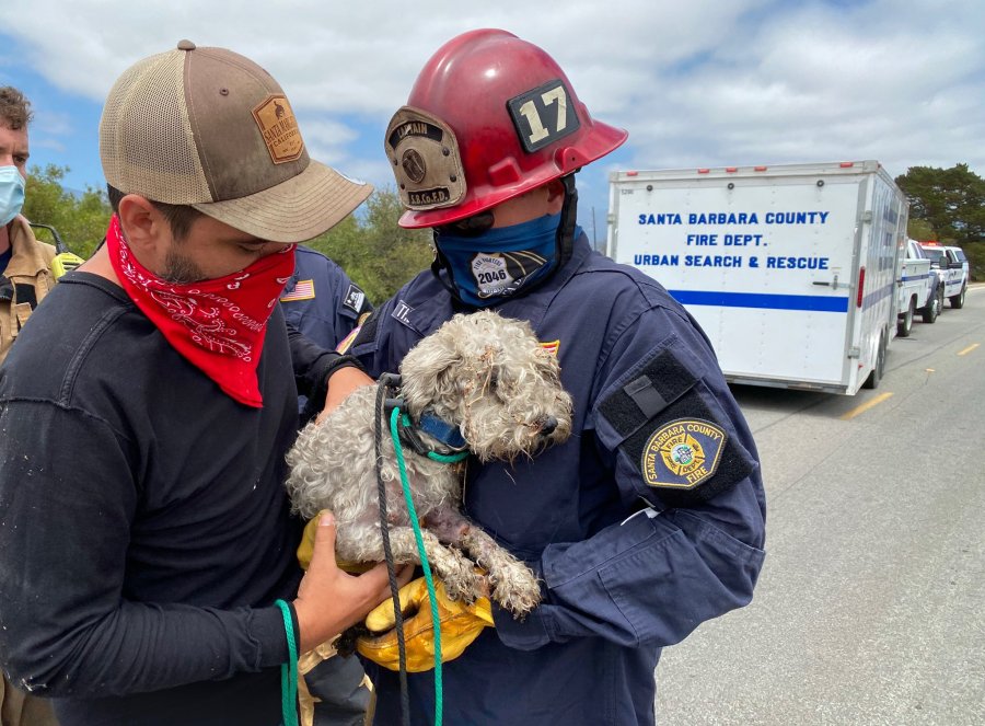 The Santa Barbara County Fire Department posted this photo of Sophie and firefighters on Instagram on July 16, 2020. 