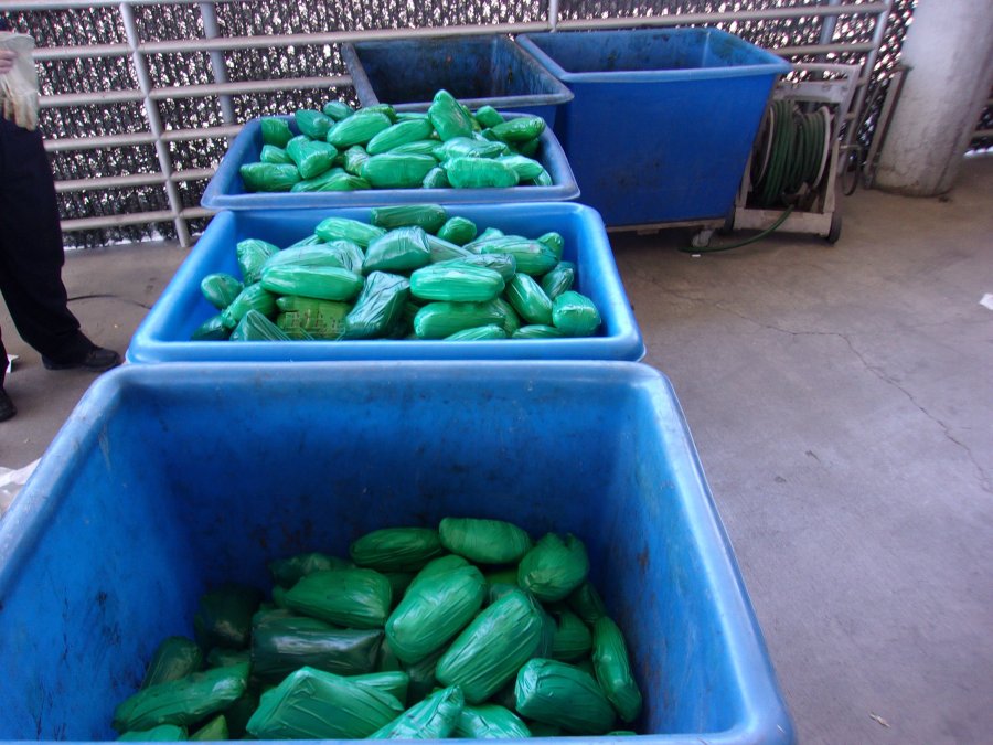 Customs and Border Protection officers seized 668 pounds of meth concealed in a cactus shipment in Otay Mesa. (Customs and Border Protection)