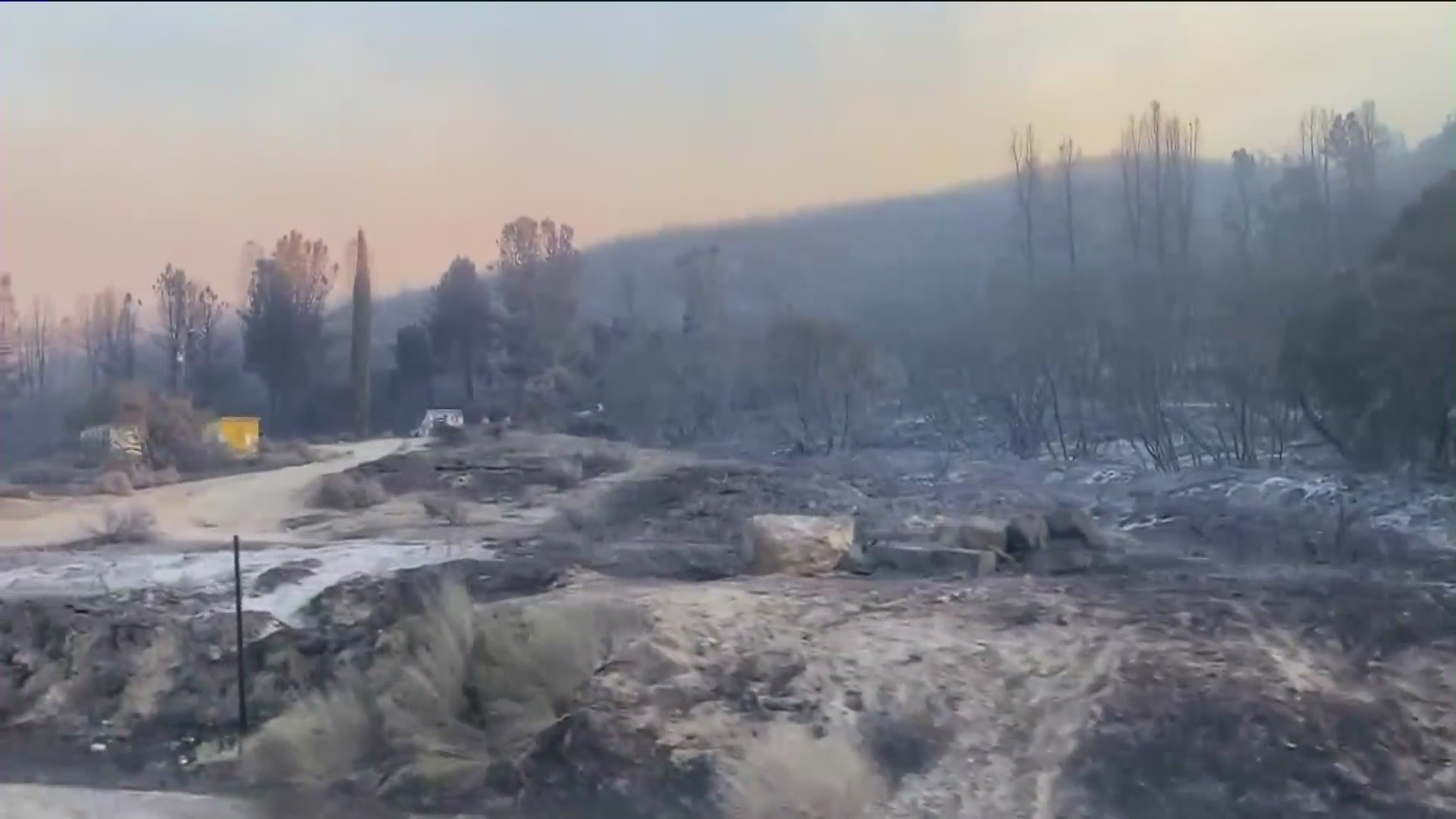 Devastation lines Pine Canyon Road after the Lake Fire tore through the area, Aug. 13, 2020. (KTLA)