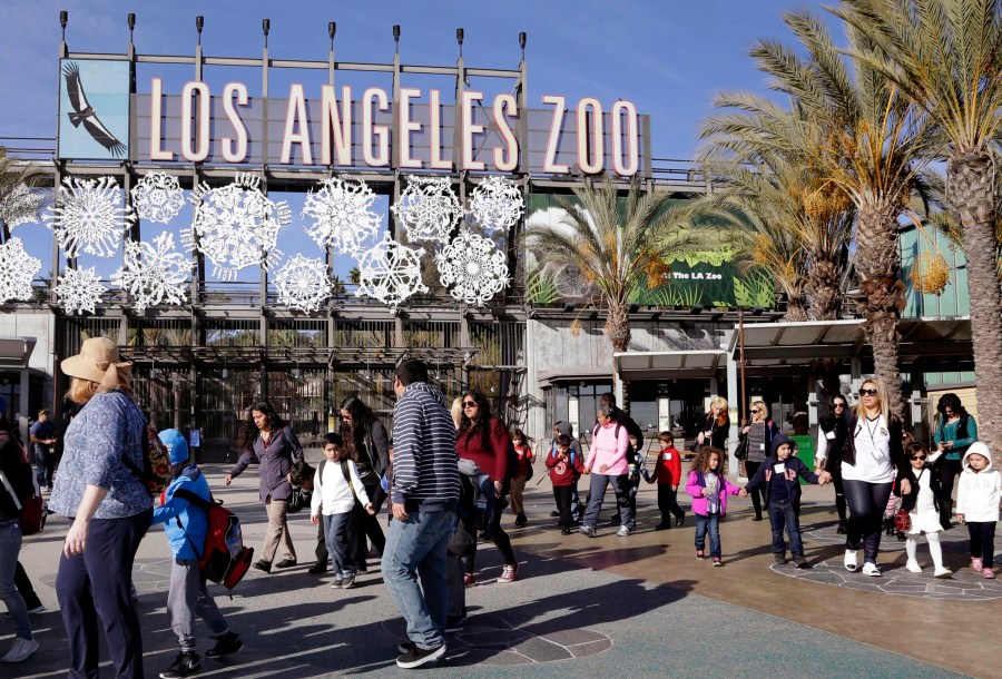 Children arrive at L.A. Zoo