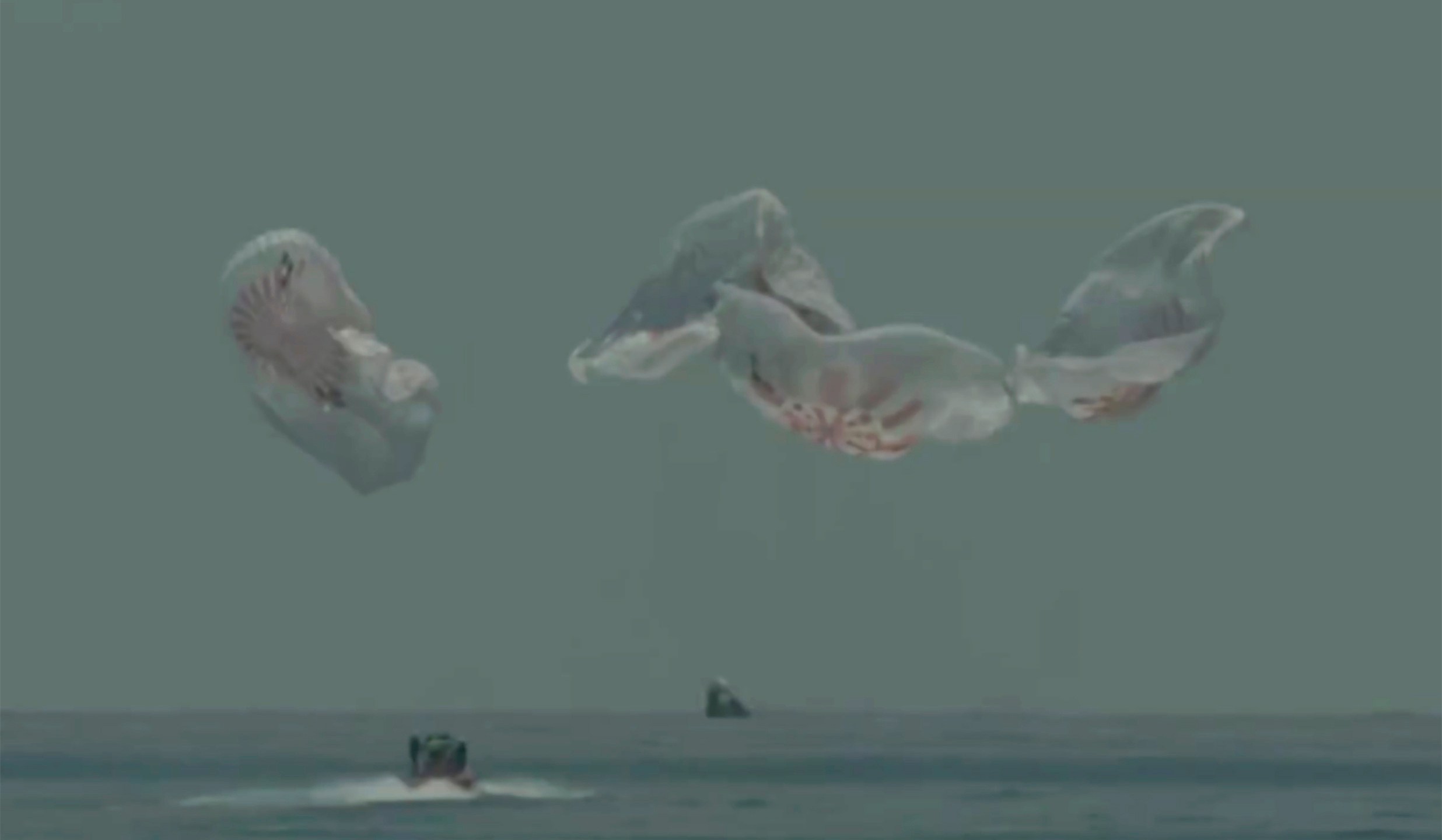 In this frame grab from NASA TV, the SpaceX capsule splashes down Sunday, Aug. 2, 2020 in the Gulf of Mexico.(NASA TV via AP)