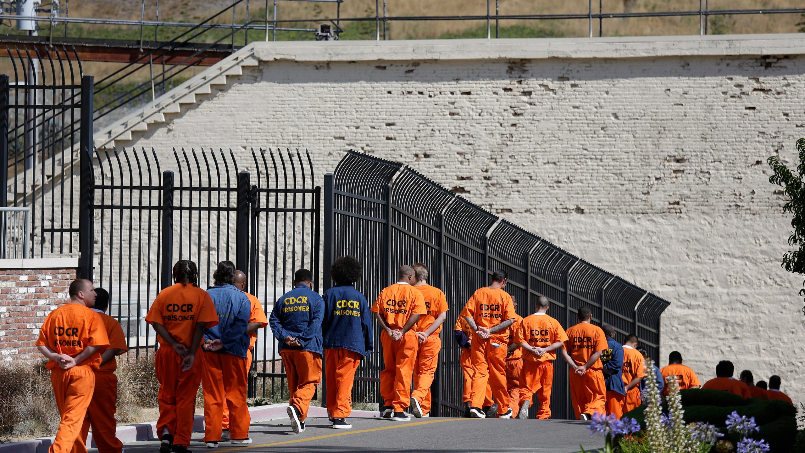 In this Aug. 16, 2016, file photo, a row of general population inmates walk in a line at San Quentin State Prison in San Quentin. (AP Photo/Eric Risberg, File)