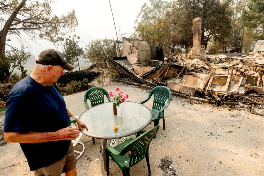 Hank Hanson, 81, looks at artificial flowers that remained standing as the LNU Lightning Complex fires destroyed his Vacaville home on Aug. 21, 2020. (AP Photo/Noah Berger)