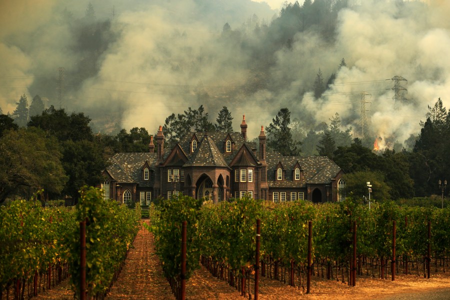 In this Oct. 14, 2017, file photo, the Tubbs wildfire burns behind a winery in Santa Rosa. (AP Photo/Jae C. Hong, File)