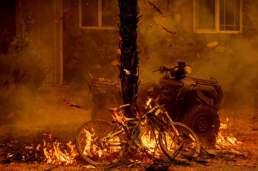 A bicycle and palm tree burn at a residence during the LNU Lightning Complex fire in the Spanish Flat area of Napa, California on Aug. 18, 2020. (JOSH EDELSON/AFP via Getty Images)