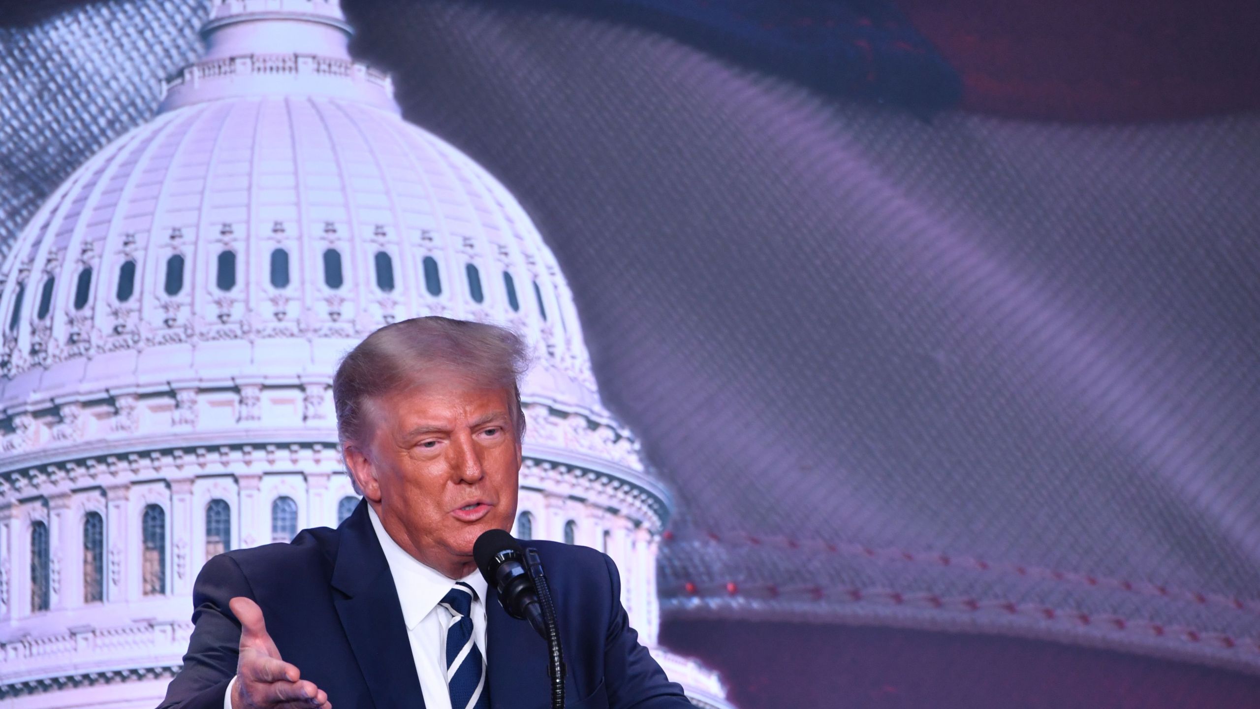 Donald Trump delivers remarks at the 2020 Council for National Policy Meeting at the Ritz Carlton in Pentagon City in Arlington, Virginia on Aug. 21, 2020. (Nicholas Kamm / AFP via Getty Images)