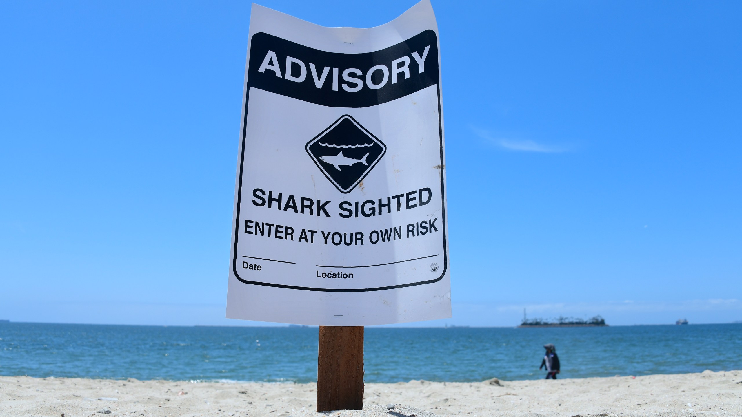 Warning signs for shark sightings remain in Long Beach on May 16, 2017, where Great White sharks and their pups have been sighted regularly off southern California beaches. (FREDERIC J. BROWN/AFP via Getty Images)