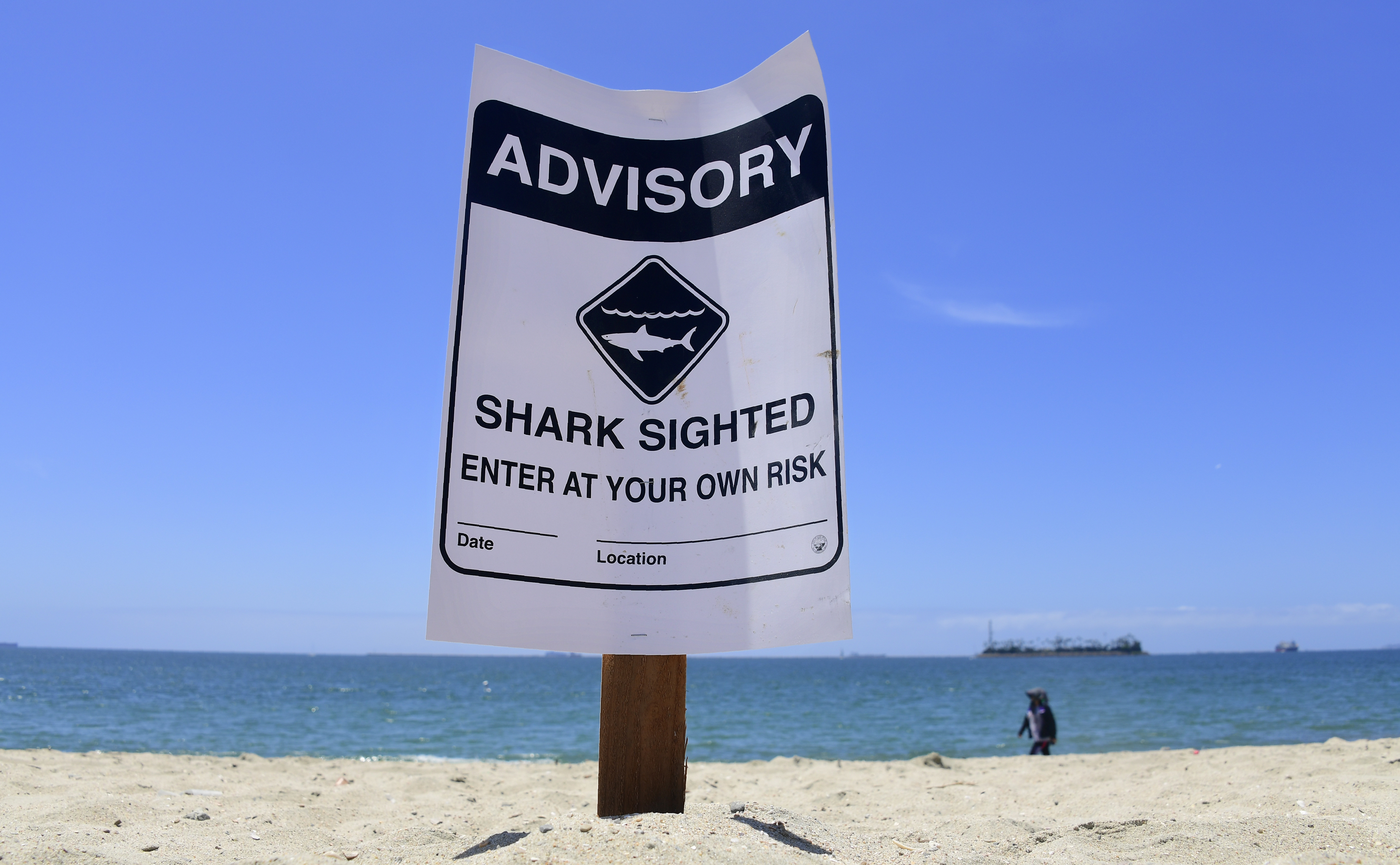 Warning signs for shark sightings remain in Long Beach on May 16, 2017, where Great White sharks and their pups have been sighted regularly off southern California beaches. (FREDERIC J. BROWN/AFP via Getty Images)