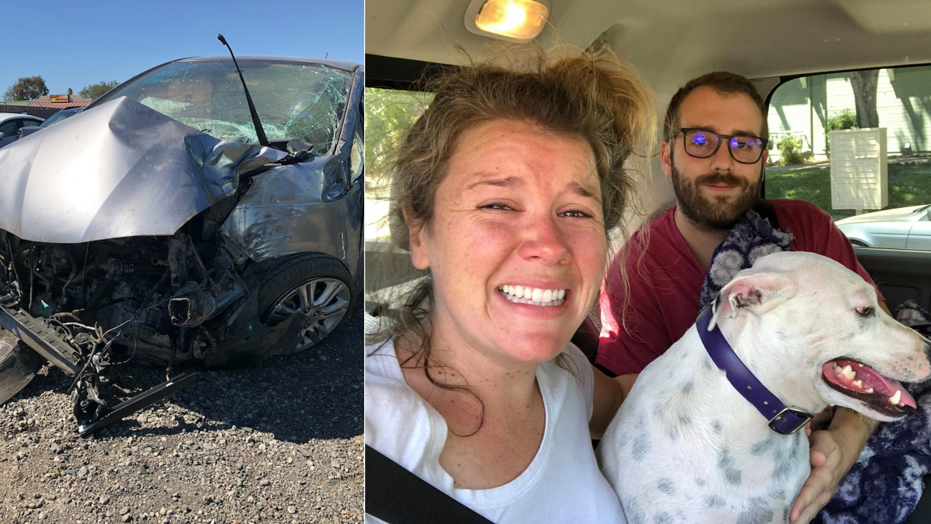 This combination photo shows Stefanie and Duane Lindsay's damaged car after a crash in Northern California on Aug. 1, 2020, and the couple posing with their dog after it was ejected from the vehicle. (Stefanie Grows via CNN)