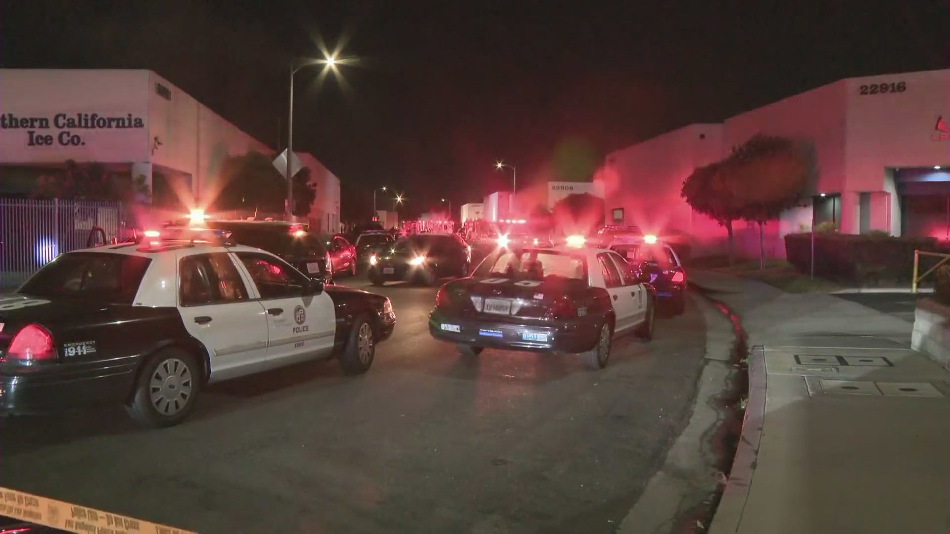 Police investigate a shooting outside a warehouse in the Harbor Gateway neighborhood of Los Angeles on Aug. 11, 2020. (KTLA)