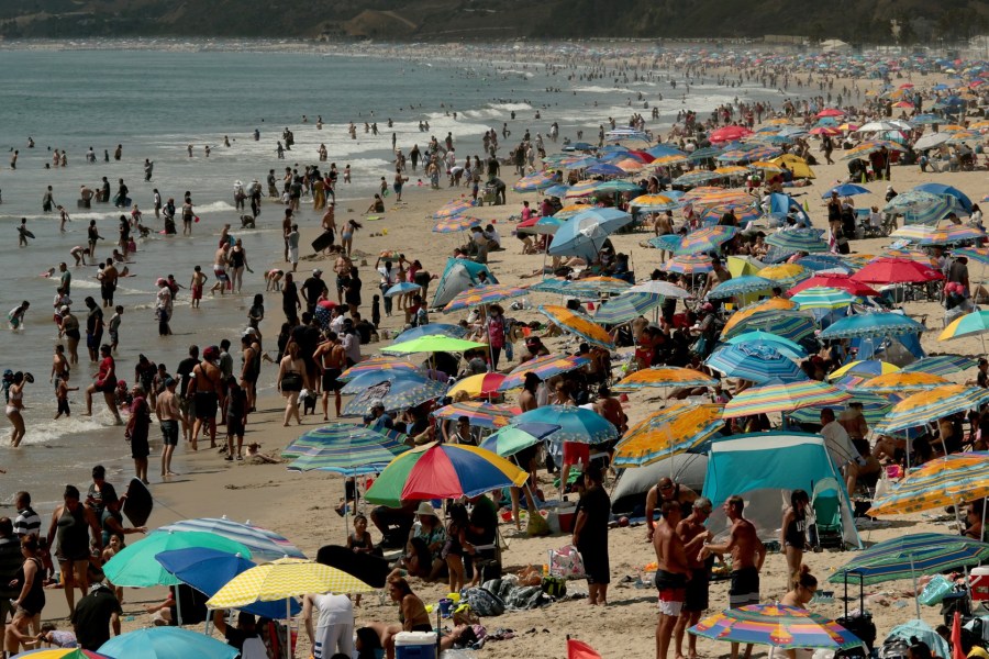 Beachgoers create a forest of umbrellas as thousands seek refuge on the beach at Santa Monica Aug. 15, 2020. (Luis Sinco/ Los Angeles Times)