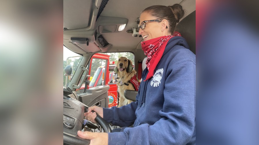 Kerith rides shotgun in a firetruck in Marin County in August 2020. (Heidi Carmen via CNN)