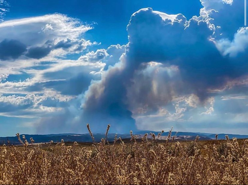 The L.A. County Fire Department tweeted this image on Aug. 16, 2020 of smoke rising from the Lake Fire in northwest L.A. County.